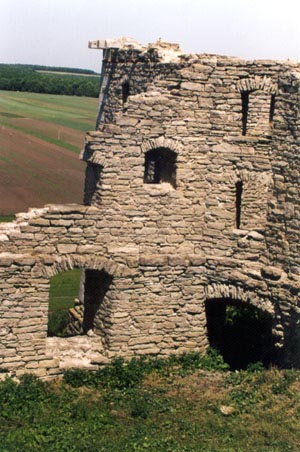 Замок, руїни башти