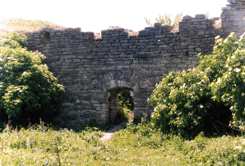 Залишки стін сатанівського замку